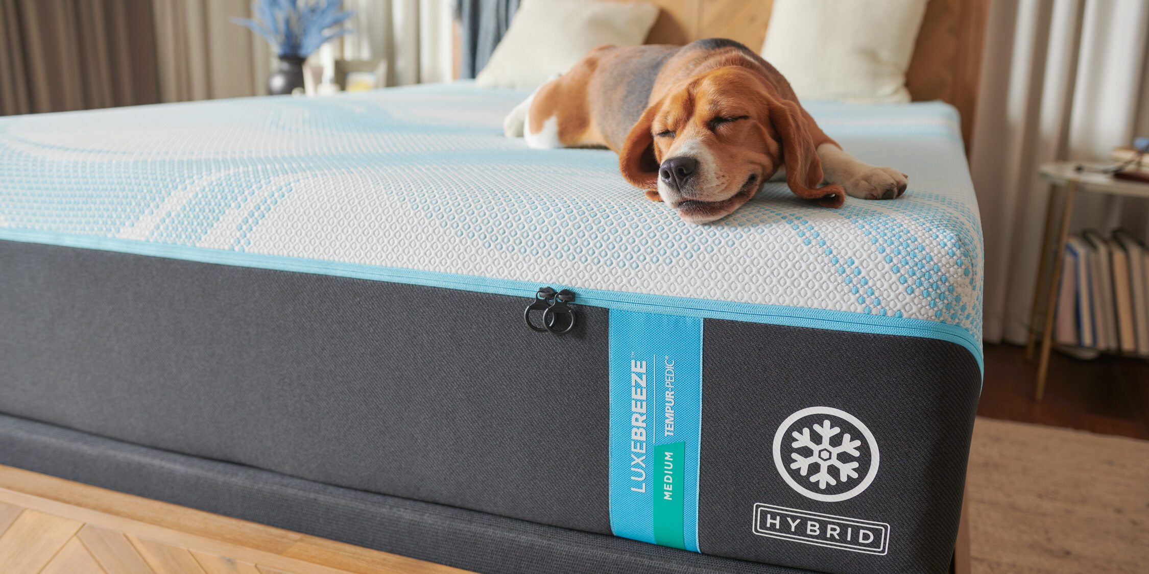 Dog sleeping on LuxeBreeze hybrid mattress.