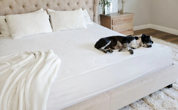 Signature Bamboo Mattress Protector by Puffy - Image 3