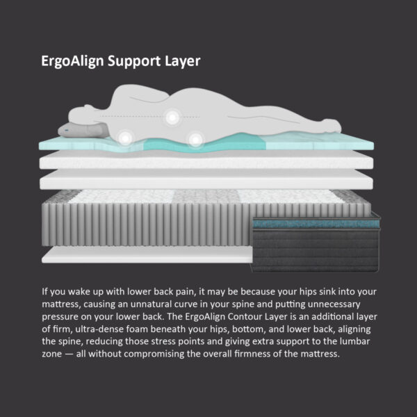 Illustration of mattress with ErgoAlign support layer